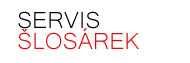 Primary Raster logo